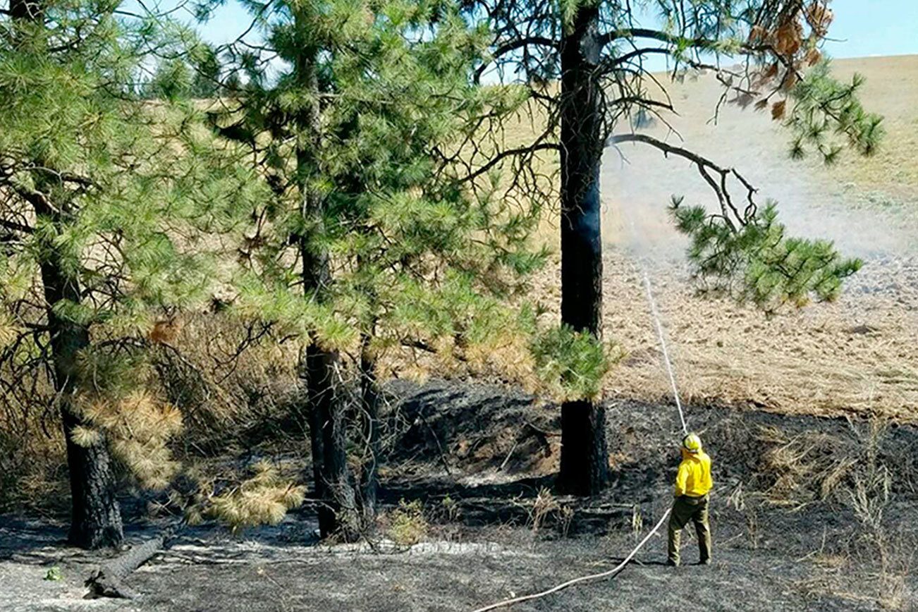 Some Clallam firefighters to come home