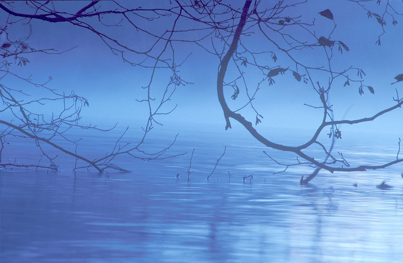 This photograph by Jan Kepley, titled “When all is said and done,” will be on display at 1st Security Bank, 114 S. Sequim Ave., in Sequim, as part of the monthly Sequim Art Walk. Art Walk this month celebrates the 50th anniversary of the Star Trek franchise. — Jan Kepley.