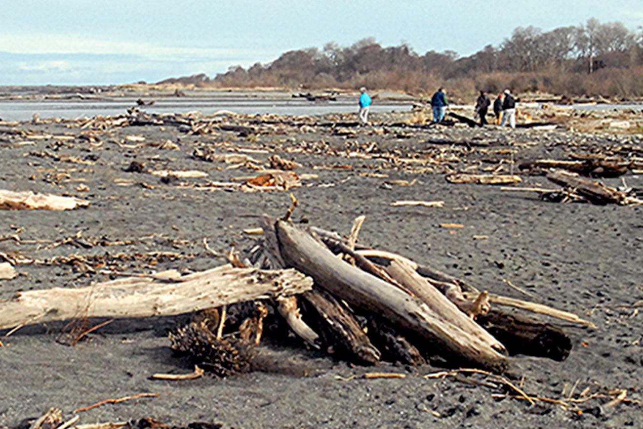 Registration taken now for tour of Beach Lake shoreline set Saturday