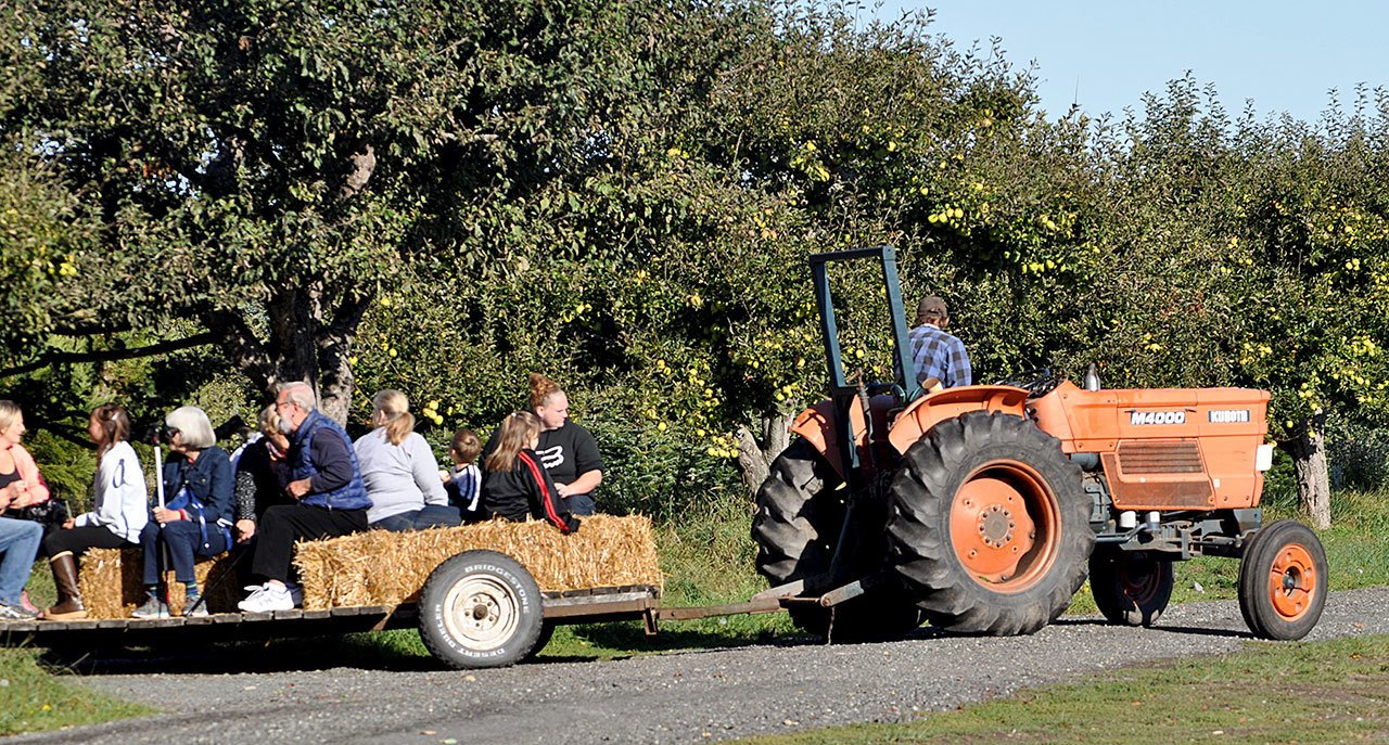 Hayride at Lazy J Farm. Photo by L. Bergman