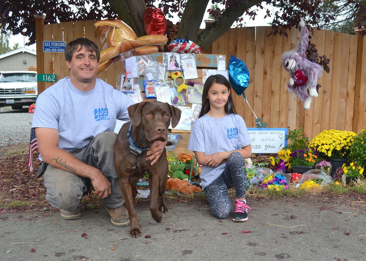 Kevin Cassidy and his daughter Alabama, 7, stand with their dog Remington by a memorial for their family dog Stolli, whom the community has honored with notes and treats after her death Aug. 31. Alabama said Stolli was a nice dog and she had no idea so many people loved her dog. She’s been taking people’s notes and placing them in plastic bags to preserve them all. (Matthew Nash/Olympic Peninsula News Group)