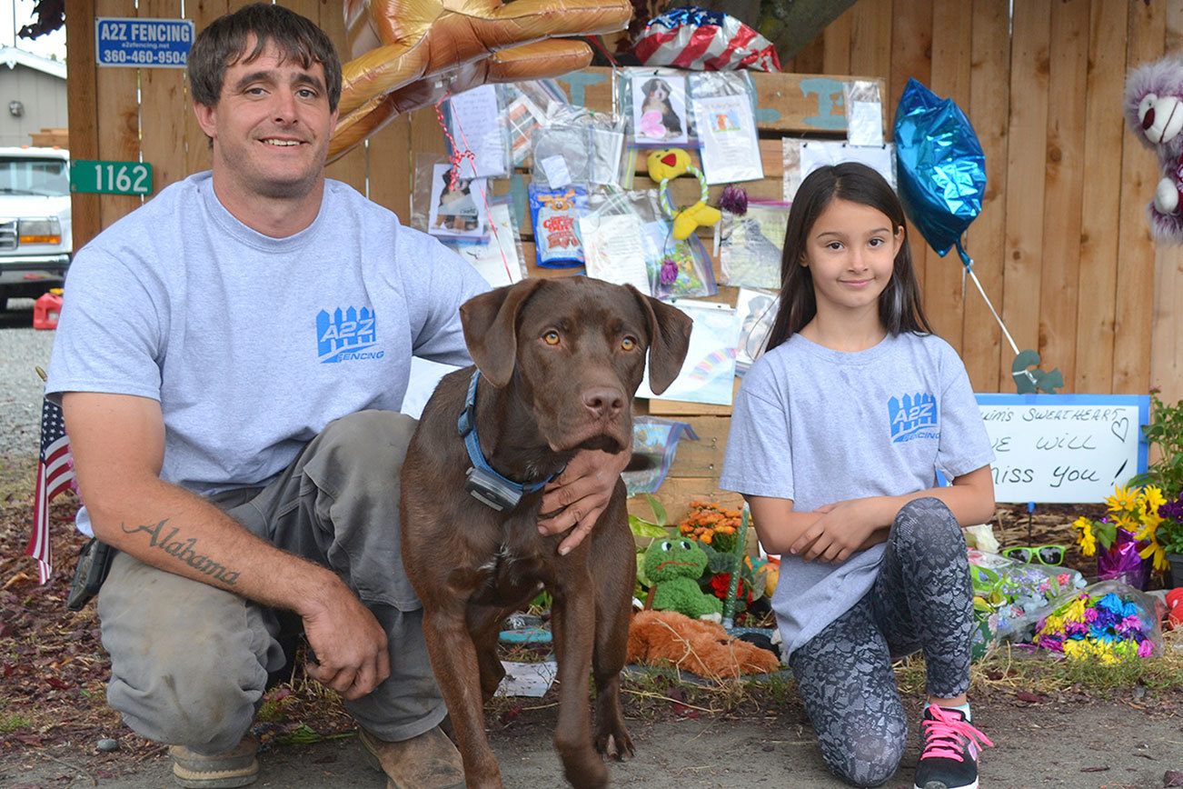 Sequim neighborhood mourns loss of dog with memorial in favorite spot