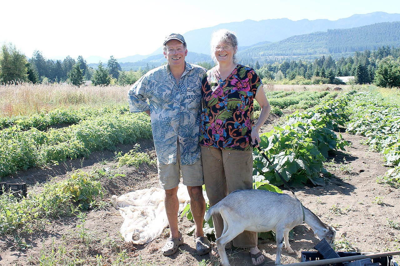 Salt Creek Farm owners Doug Hendrickson and Lee Norton with one of their goats that live on the farm. (North Olympic Land Trust)