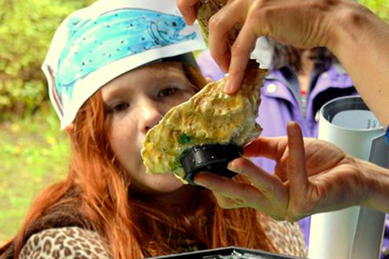 Dungeness River Fest returns for 17th year