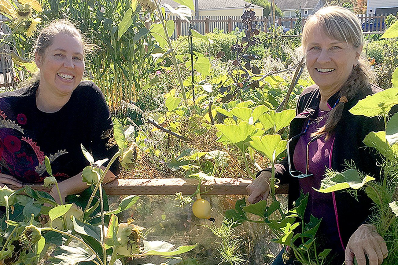 Alternatives to burning yard debris to be outlined