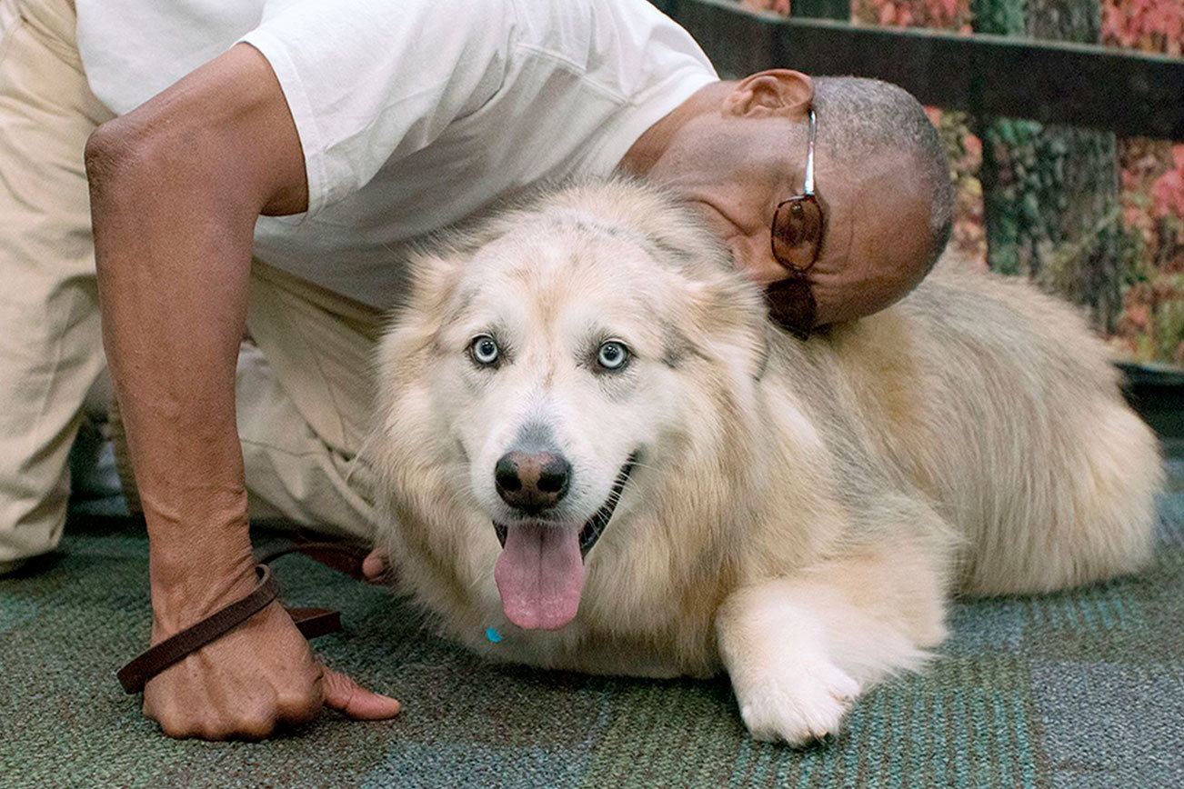 Clallam Bay inmates reunite with reformed dogs
