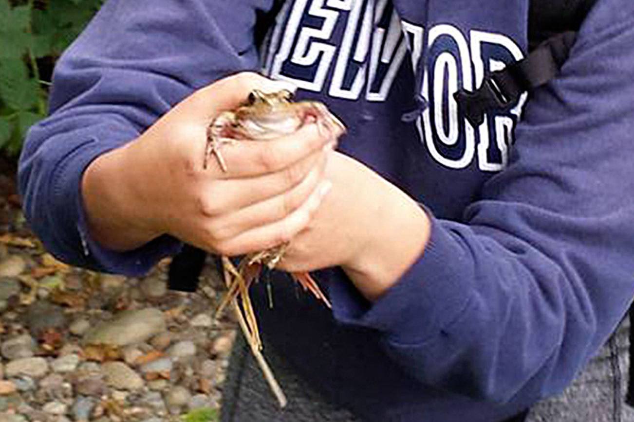 Working for the earth: Students train for ecological projects