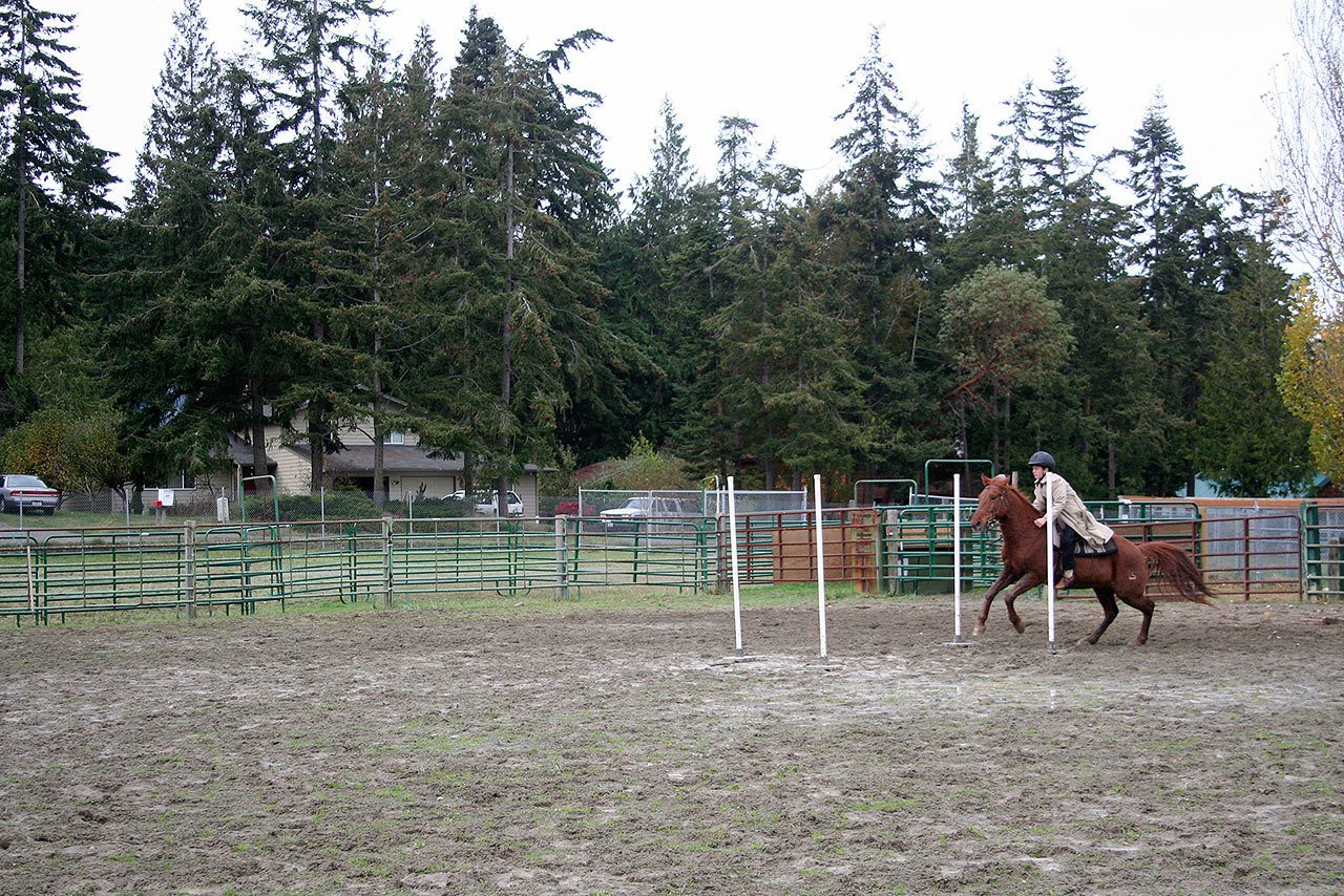Silver Spurs 4-H member Jack Hatfield shoots through the poles in the keyhole race during a show at the Jefferson County Fairgrounds last month. When show season begins next spring, look for an expanded list of show classes that cater to adults and families of all age groups. (Karen Griffiths/for Peninsula Daily News)