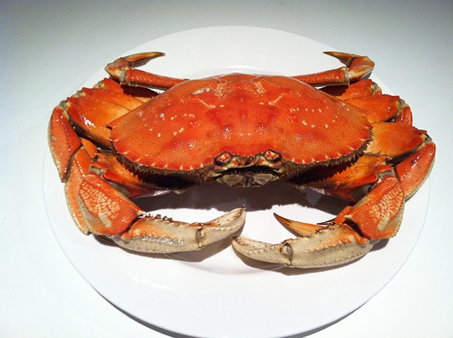 OUTDOORS: Summer Dungeness crab catch dips slightly