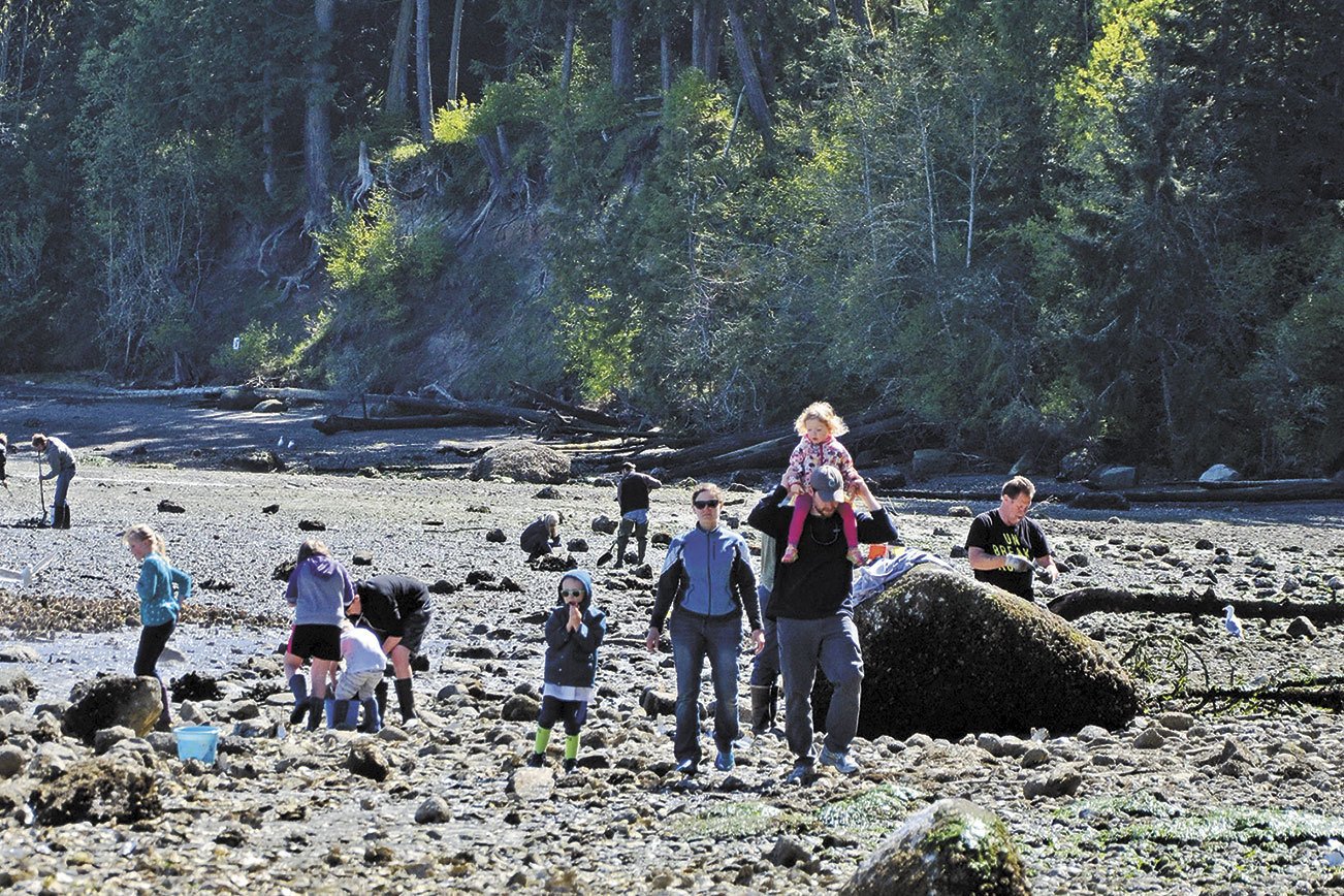 Peninsula beaches on Strait open for most types of shellfish harvesting