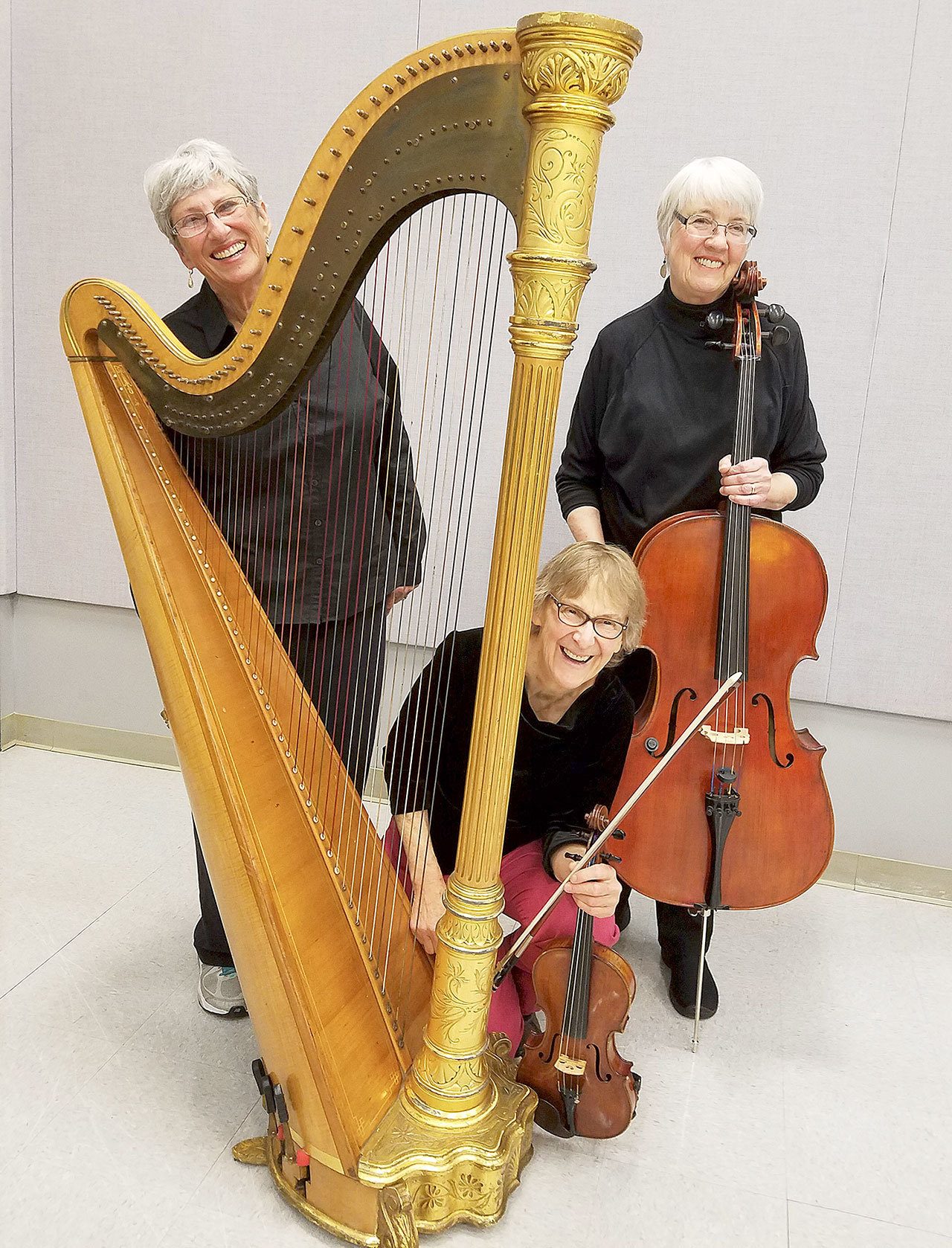 Violinist Kristin Smith, cellist Diane Vaux and harpist Janeen Kelm, seen here, will take the spotlight during a special performance Saturday evening by the Port Townsend Community Orchestra. (Port Townsend Community Orchestra)