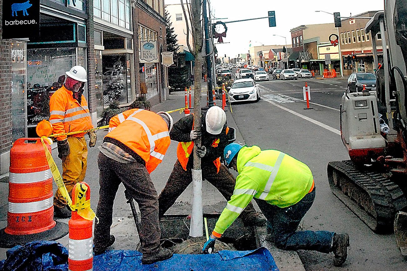 Tree planting nears completion in downtown Port Angeles