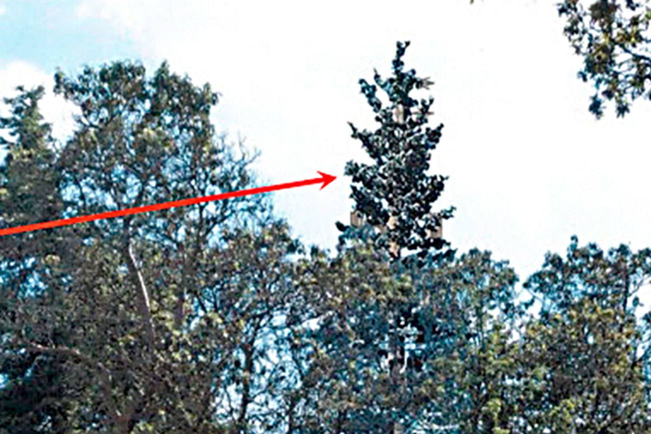 Judge to rule after Jan. 1 on radio, cellphone tower near Sequim