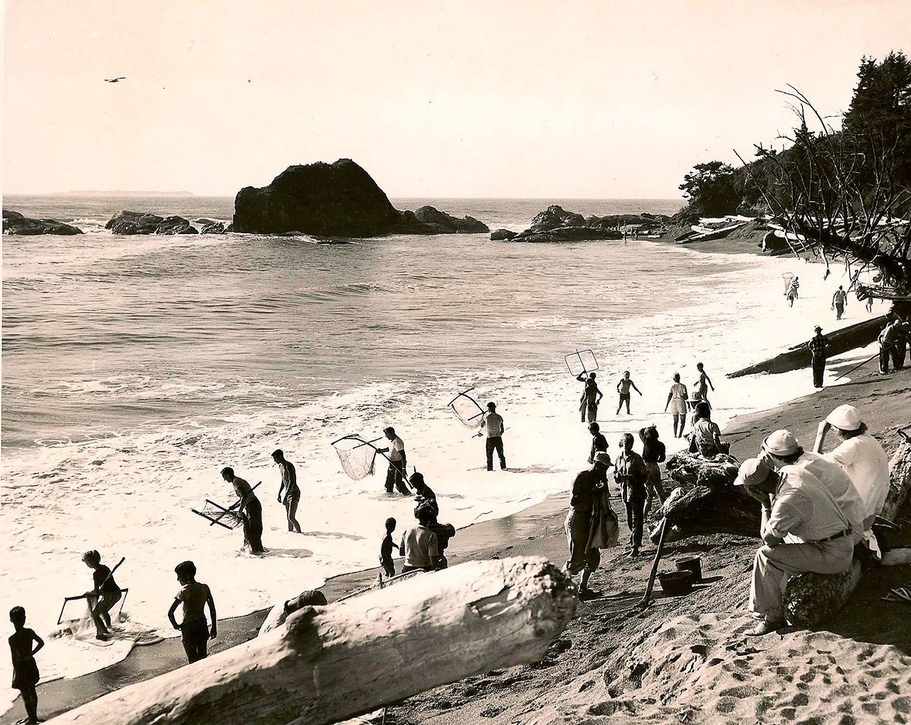 People smelt dipping in the area north of Kalaloch at Trail 4 in August 1959. (Rex Gerberdings)