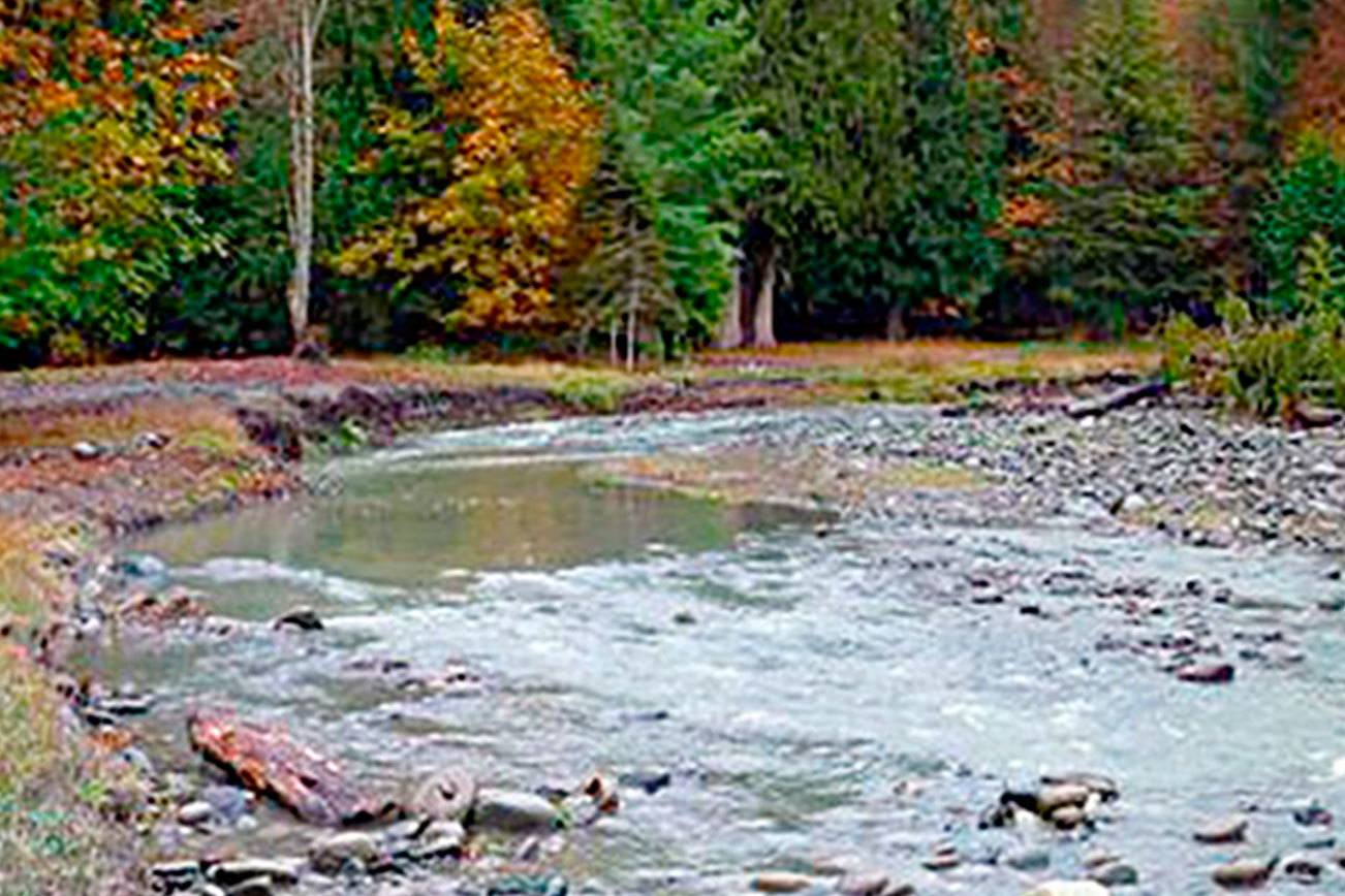 Volunteers needed for tree planting along Dungeness River