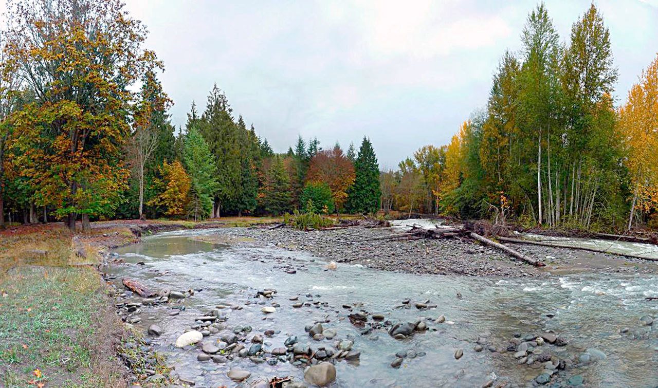 Volunteers are needed to help plant native trees along the Dungeness River this weekend with the Jamestown S’Klallam Tribe and North Olympic Salmon Coalition.