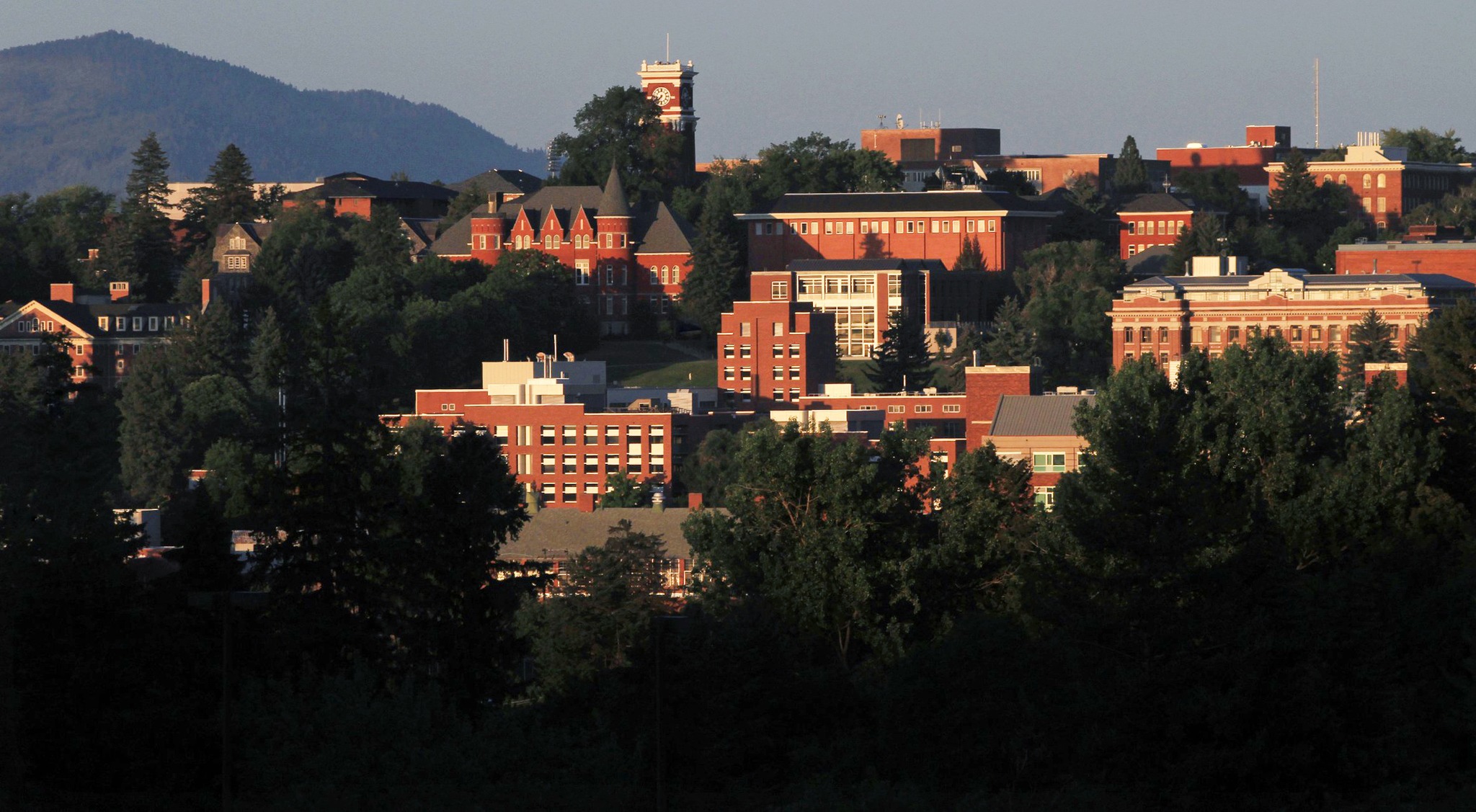 This Aug. 17, 2011, photo shows the campus of Washington State University in Pullman. (Alan Berner/The Seattle Times via AP)
