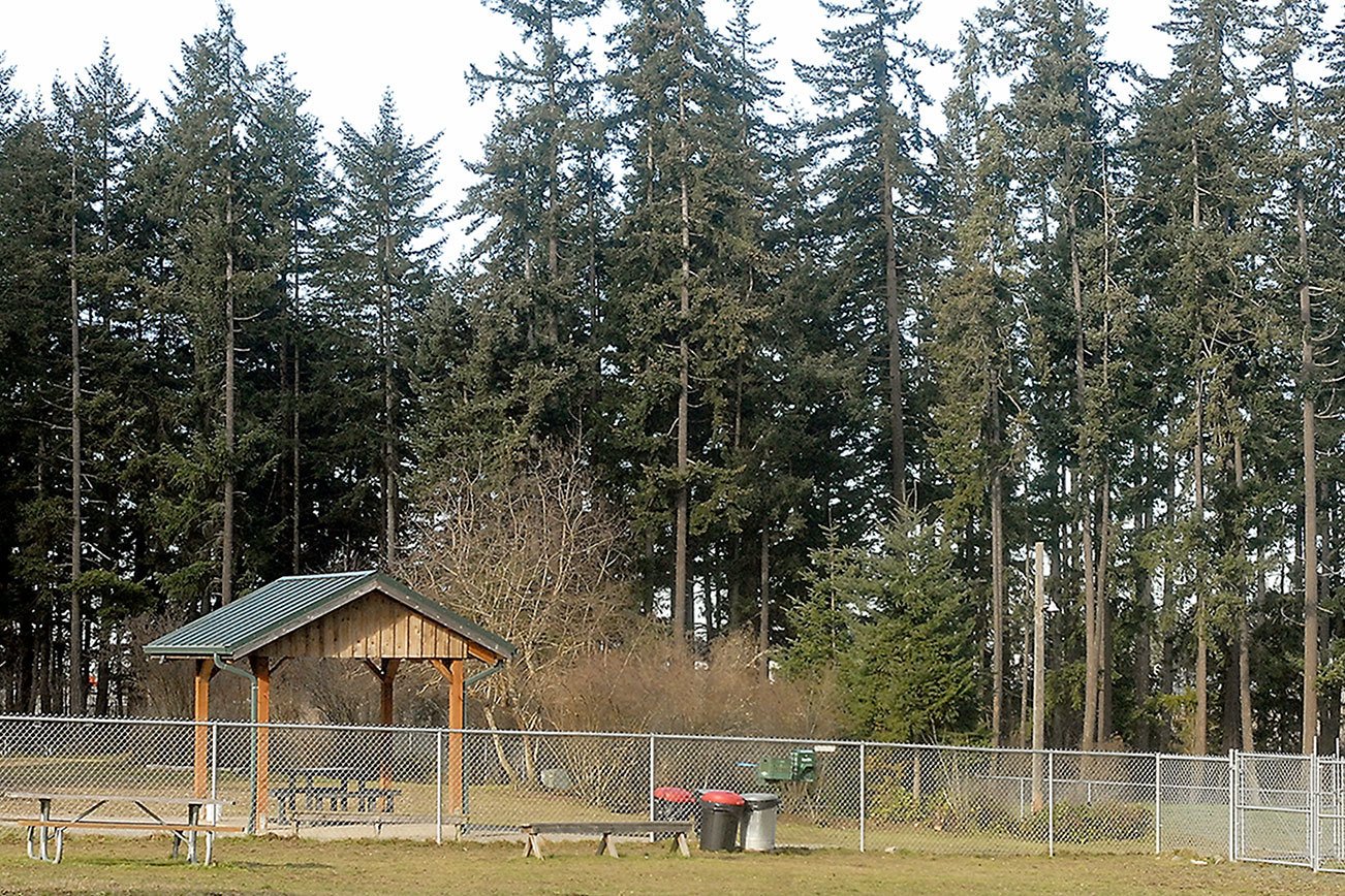 Pact reached to cut 400 trees in Lincoln Park to ease approach to airport runway