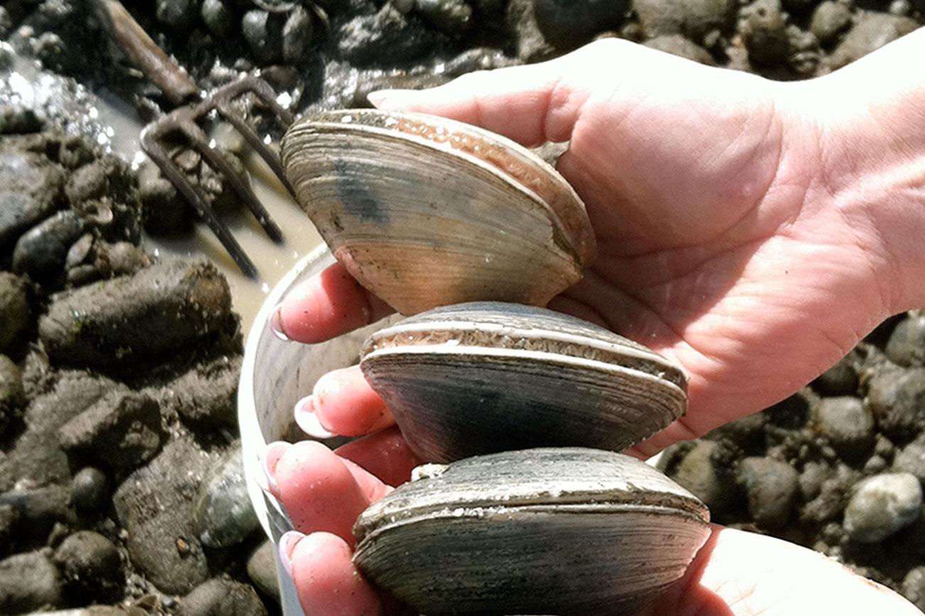 Peninsula College Longhouse to host new exhibit