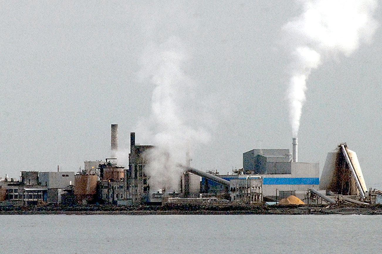 Mill official: Nippon has pared down production