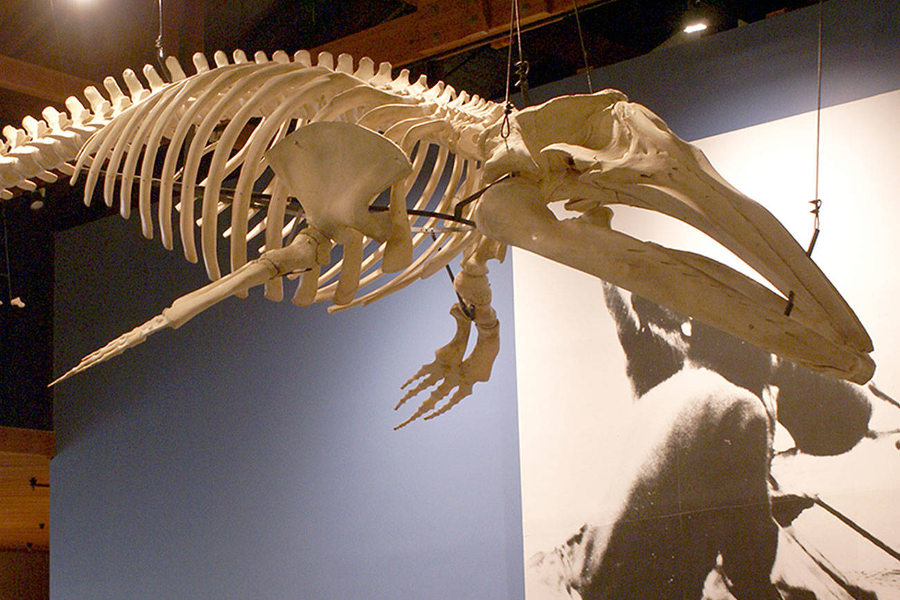 Grant to light up Makah museum