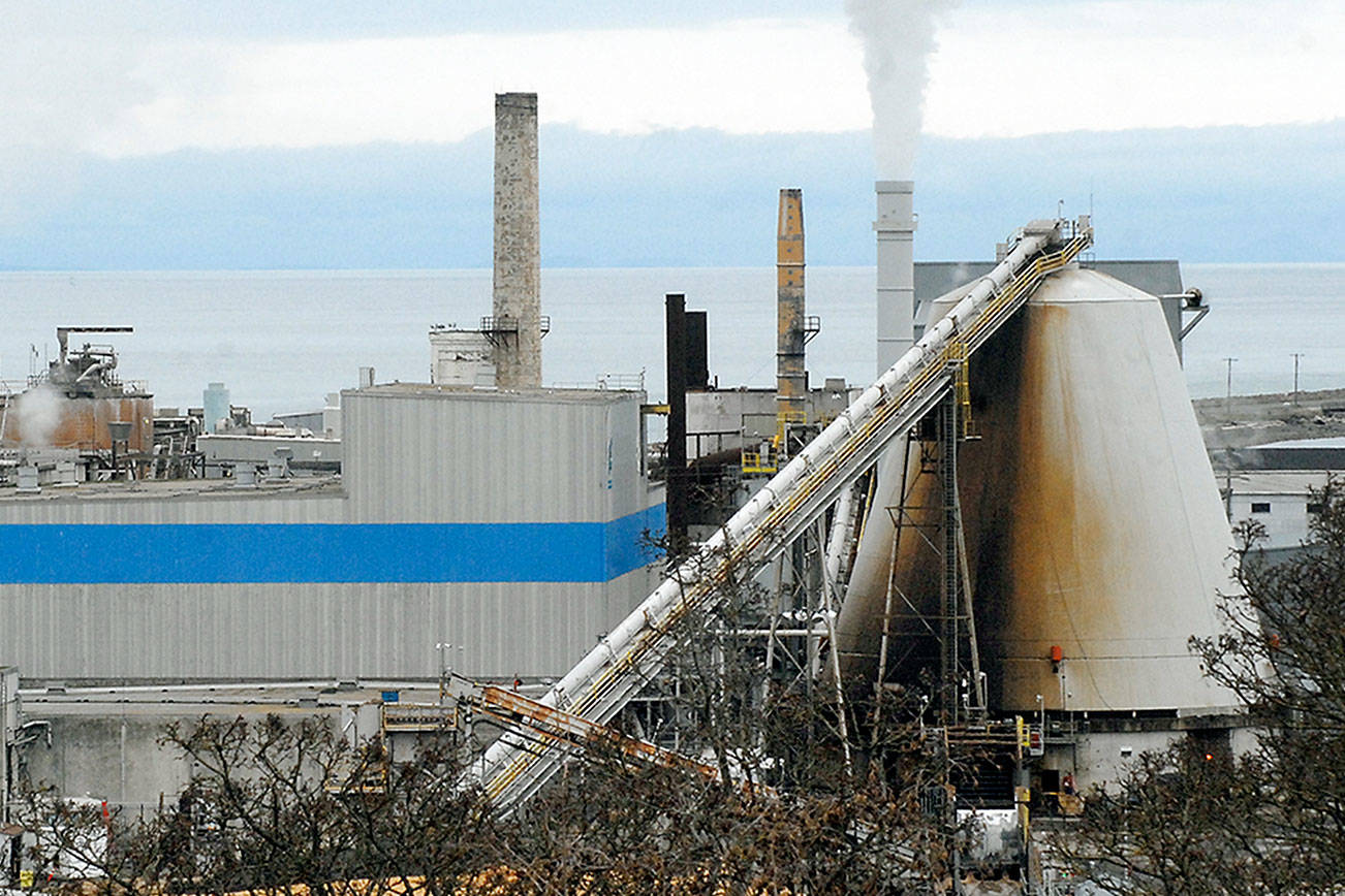 Nippon mill sold to subsidiary of Mexican firm; opening date pushed