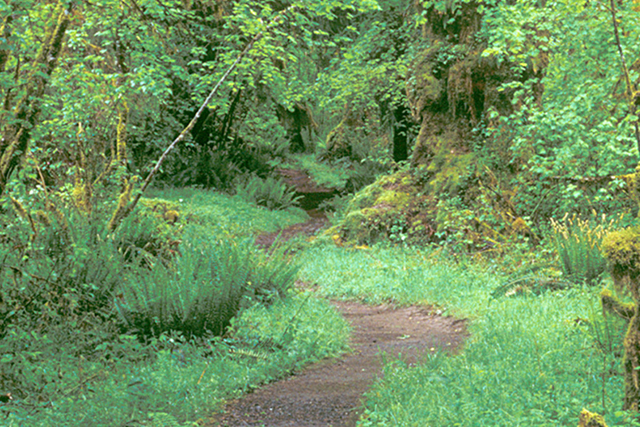 First Friday Art Walk Sequim nurtures nature’s bounty