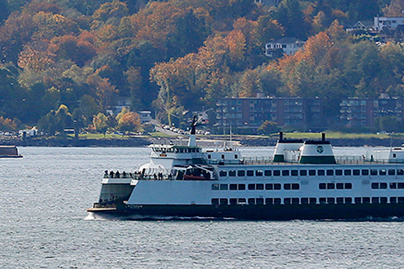 Environmentalists warn about Trump’s Puget Sound budget cuts