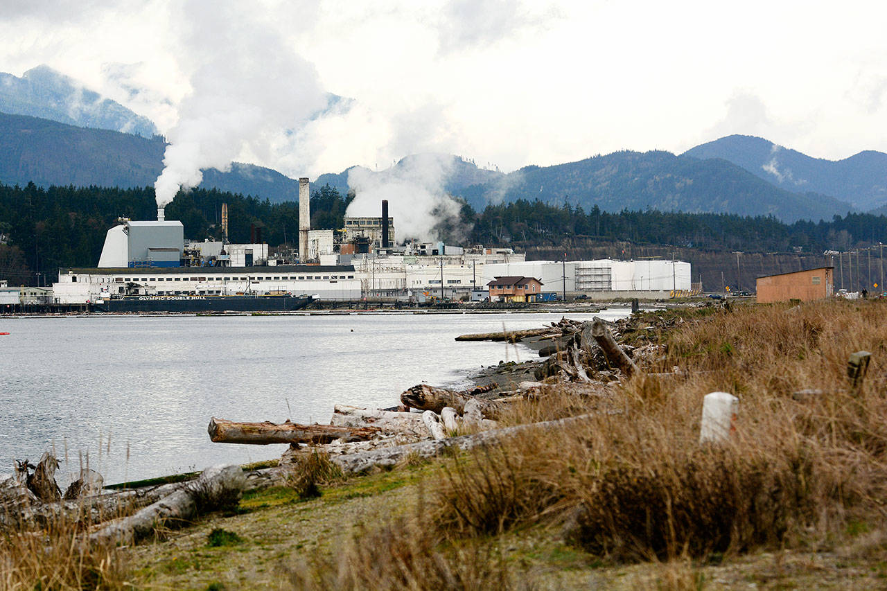 The Western Port Angeles Harbor Group is planning a restoration pilot study that includes placing a 6-inch layer of clean sand on a 4,500-square-foot stretch of shallow subtidal area on the inside of Ediz Hook. (Jesse Major/Peninsula Daily News)