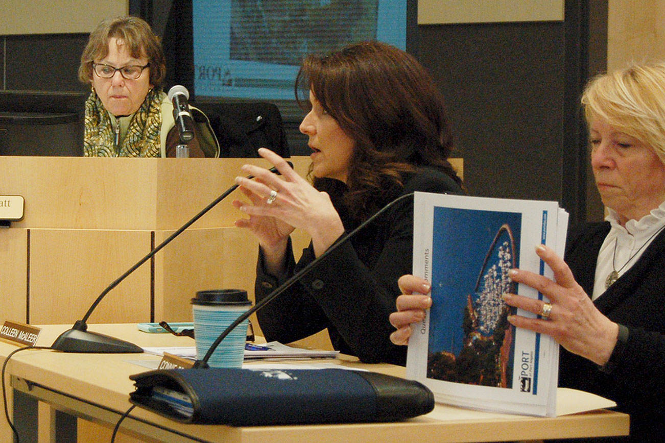 Port, Sequim leaders look to nurture community alliances