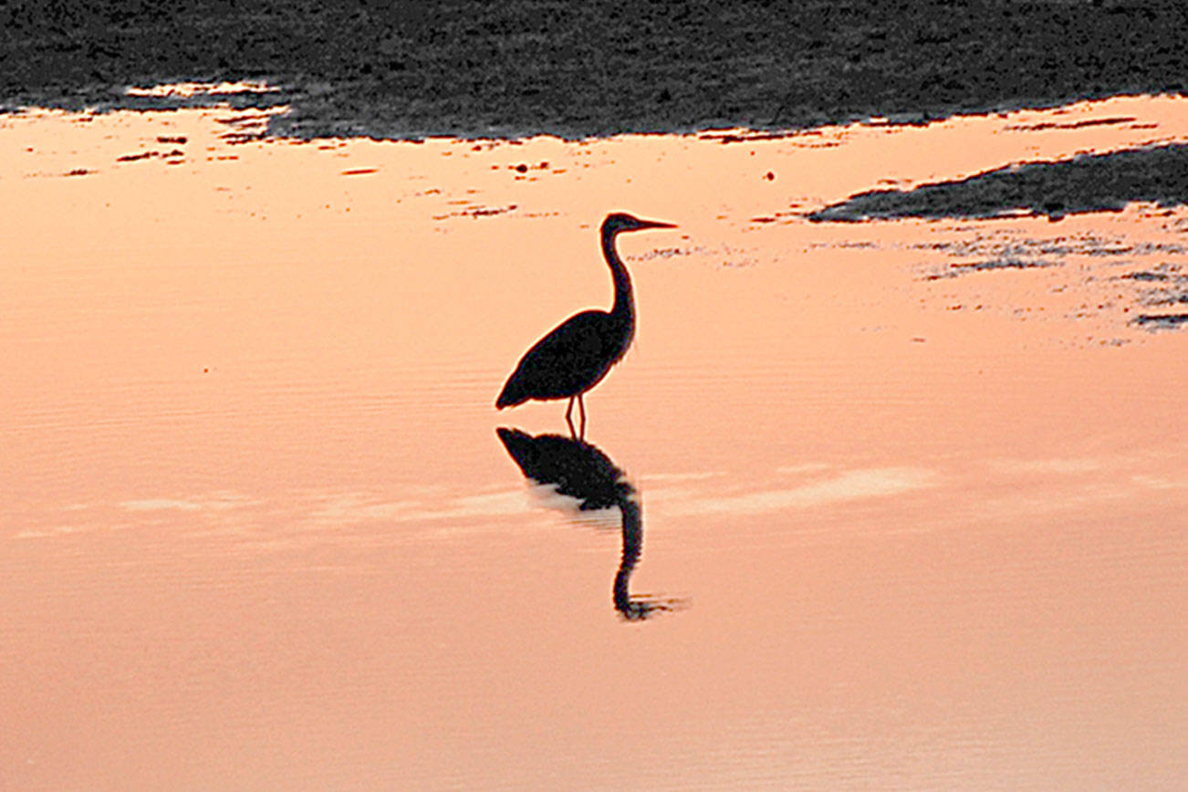 Jefferson County campgrounds open for season