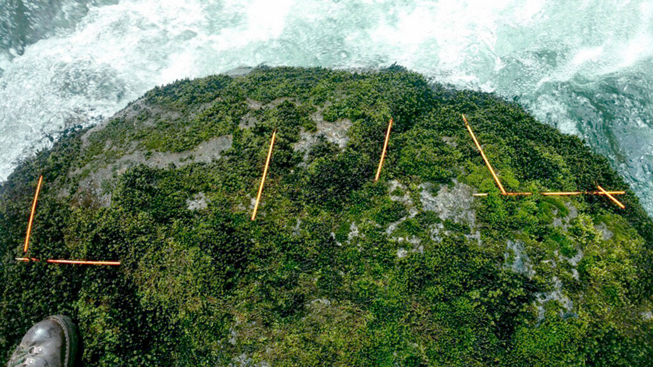 Family members report that Jacob Gray might have grabbed onto this rock on the Sol Duc River.