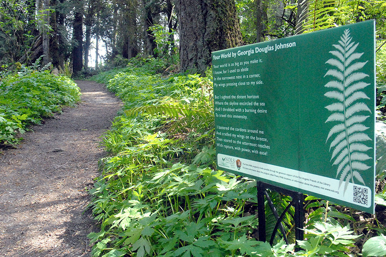 Poetry Walks added inducement to get outdoors