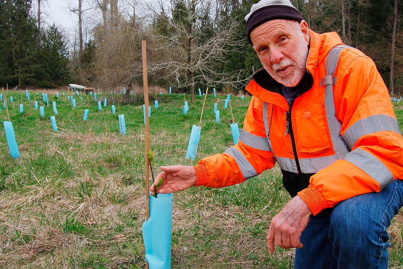 Landowners, restoration workers aim to improve health of Dungeness River