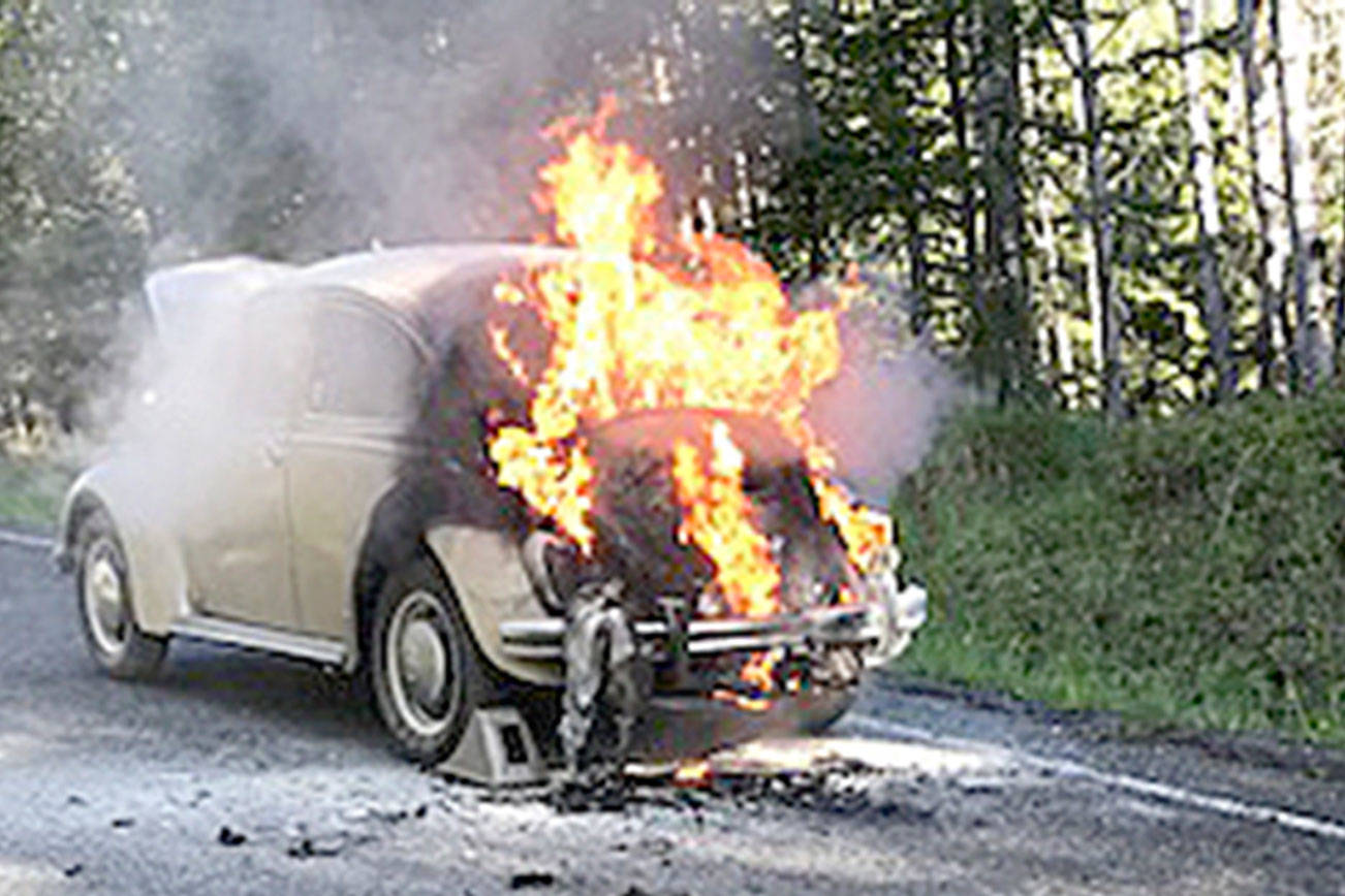 Firefighters knock down car fire near Port Angeles