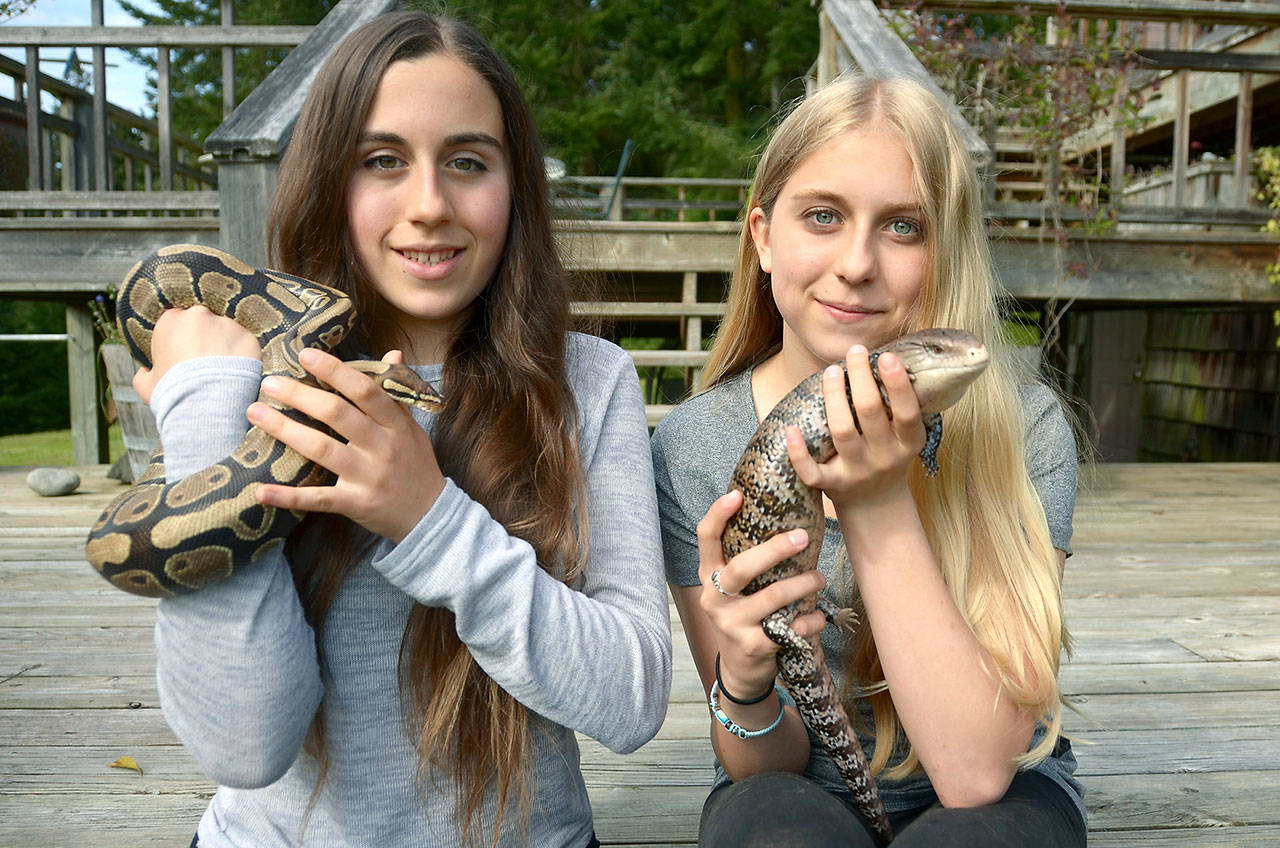 Port Townsend sisters, from left, Lauren and Grace Taracka hold two of their pet reptiles. Lauren started a business, Lizardopolis, which visits local schools and events to educate kids about reptiles and amphibians. (Cydney McFarland/Peninsula Daily News)
