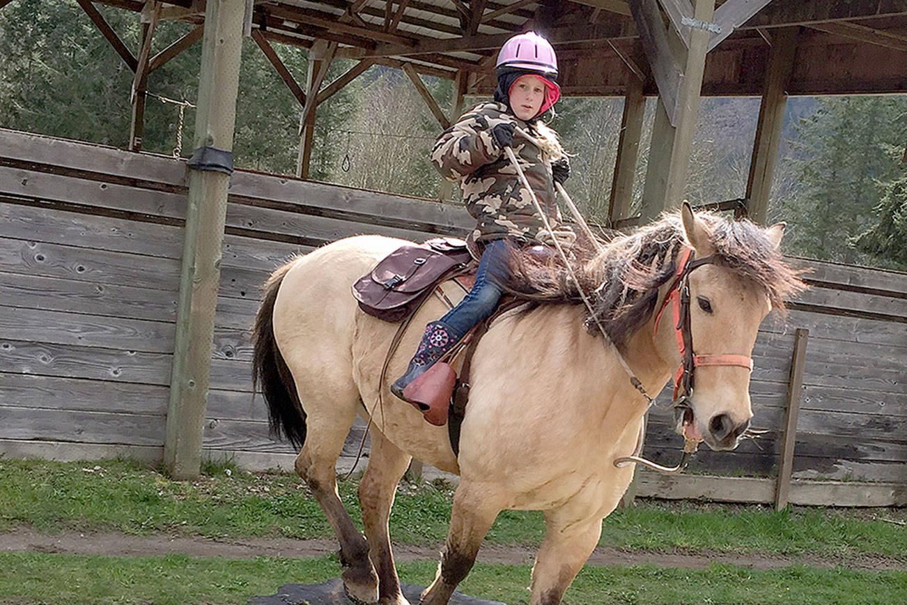 HORSEPLAY: Shedding season has arrived