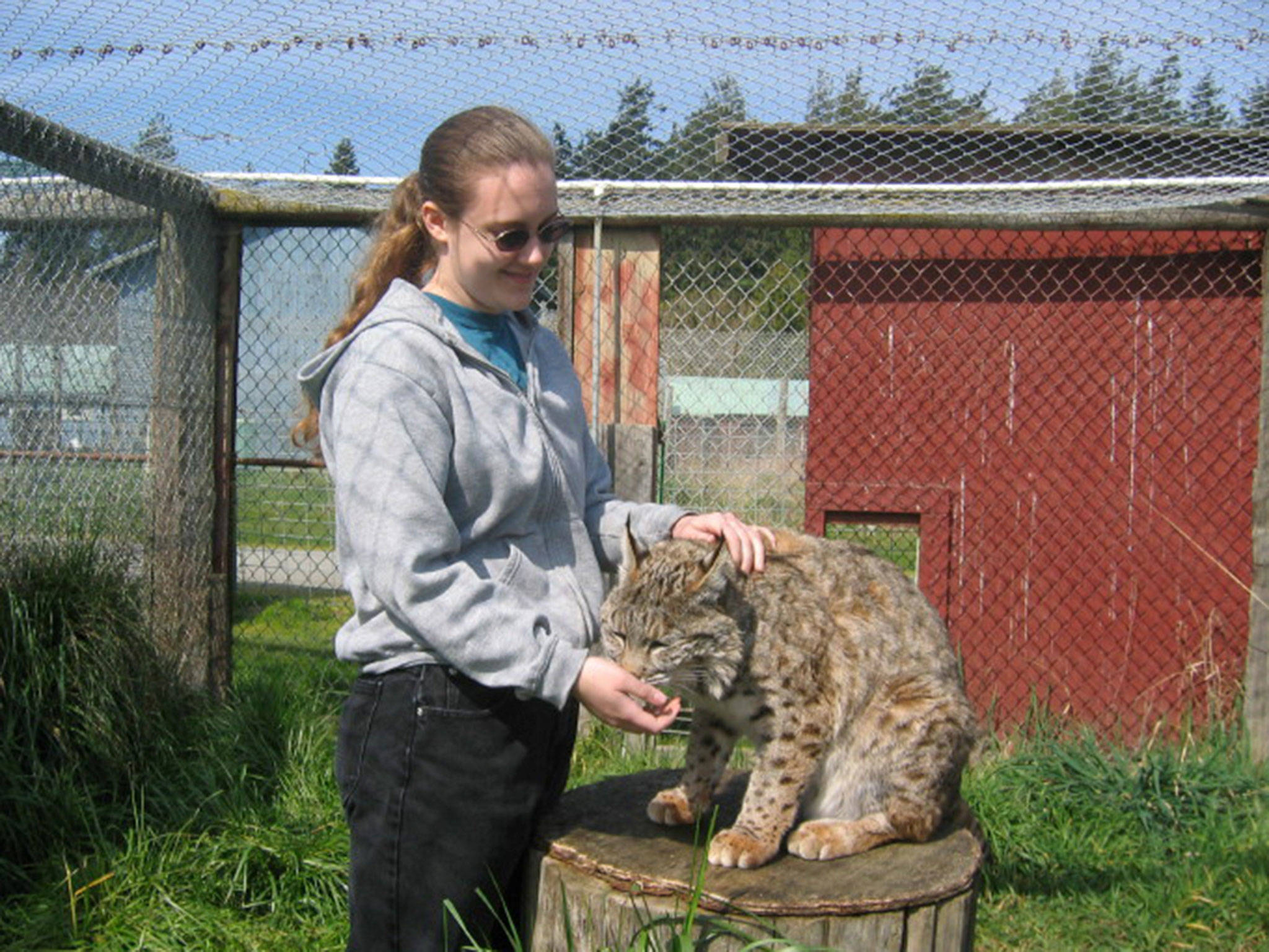 Gary and Suzanne Brooks said their daughter Jessica’s love for animals started around age 11 when she began caring for local sheep and other farm animals. She began volunteering at Sequim Animal Hospital at age 14 and began college at 17 with the intent to become a veterinarian. (Brooks family)