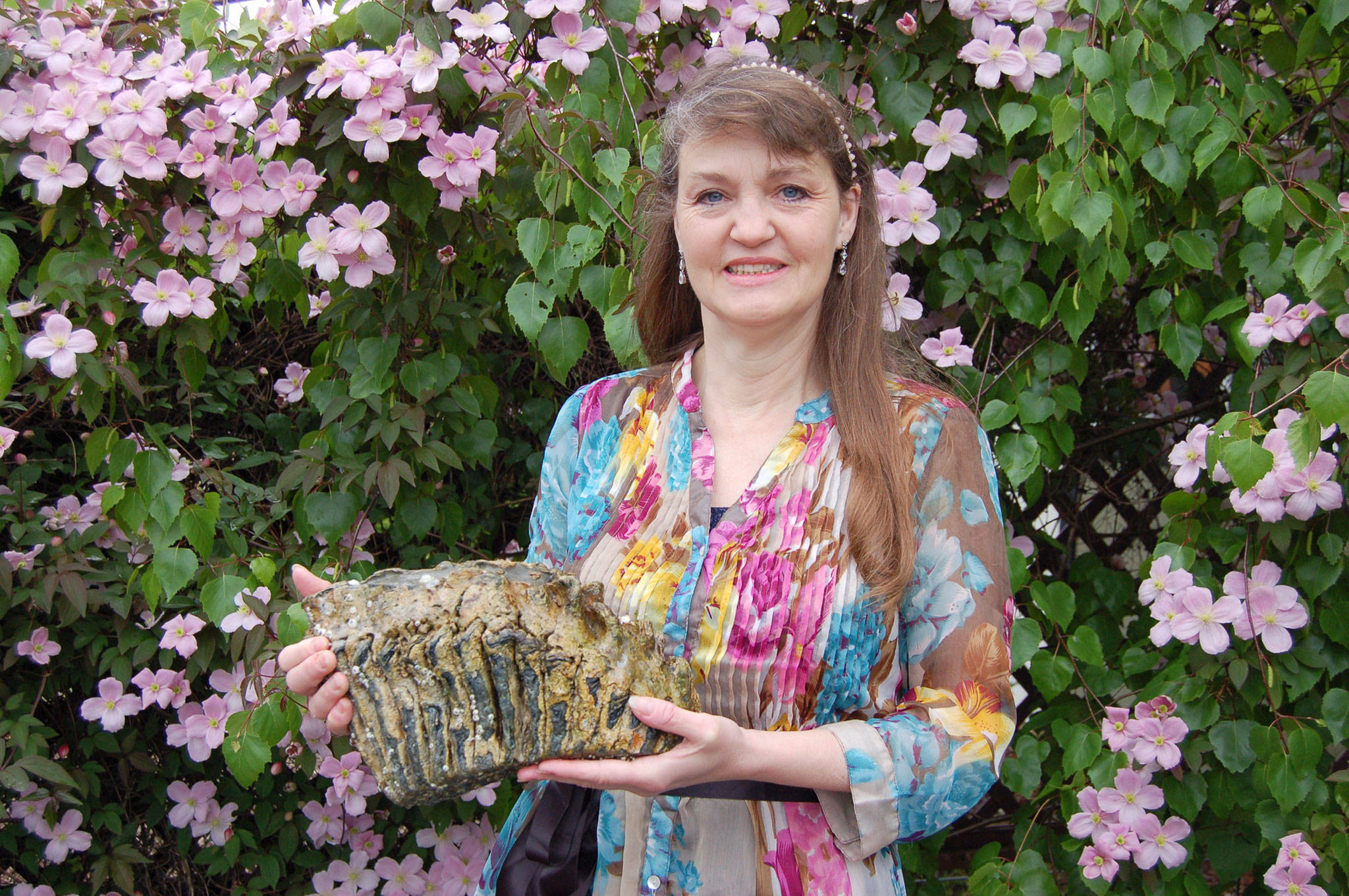 A big find: Locals stumble upon mammoth molar on Sequim beach