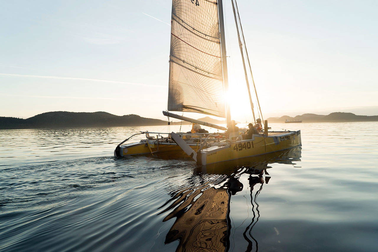 Team Bad Kitty sails into the sunset at the end of Day 3 of Race to Alaska. Bad Kitty is one of three trimarans battling for the lead on the way to Ketchikan, Alaska. (Liv von Oelreich/R2AK)