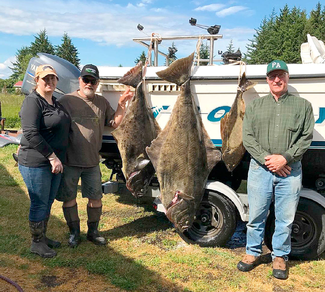 Jerry Payne, right, caught this 168-pound halibut last Saturday while fishing at Midway off Neah Bay with Vickie Holmquist, left and Rick Wray.                                Photo courtesy Vickie Holmquist