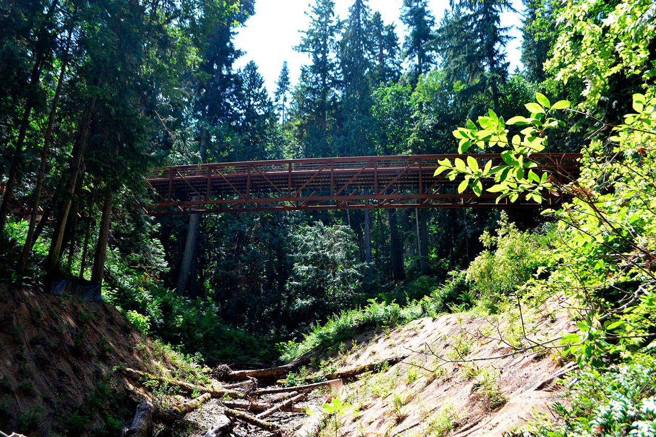 Sequim Bay Bridge continues the Olympic Discovery Trail through Sequim Bay State Park and rests over an unnamed creek that park officials planted native vegetation next to in order to create a better fish habitat. The bridge was constructed as part of a court order to replace restricting culverts for fish passage. (Matthew Nash/Olympic Peninsula News Group)