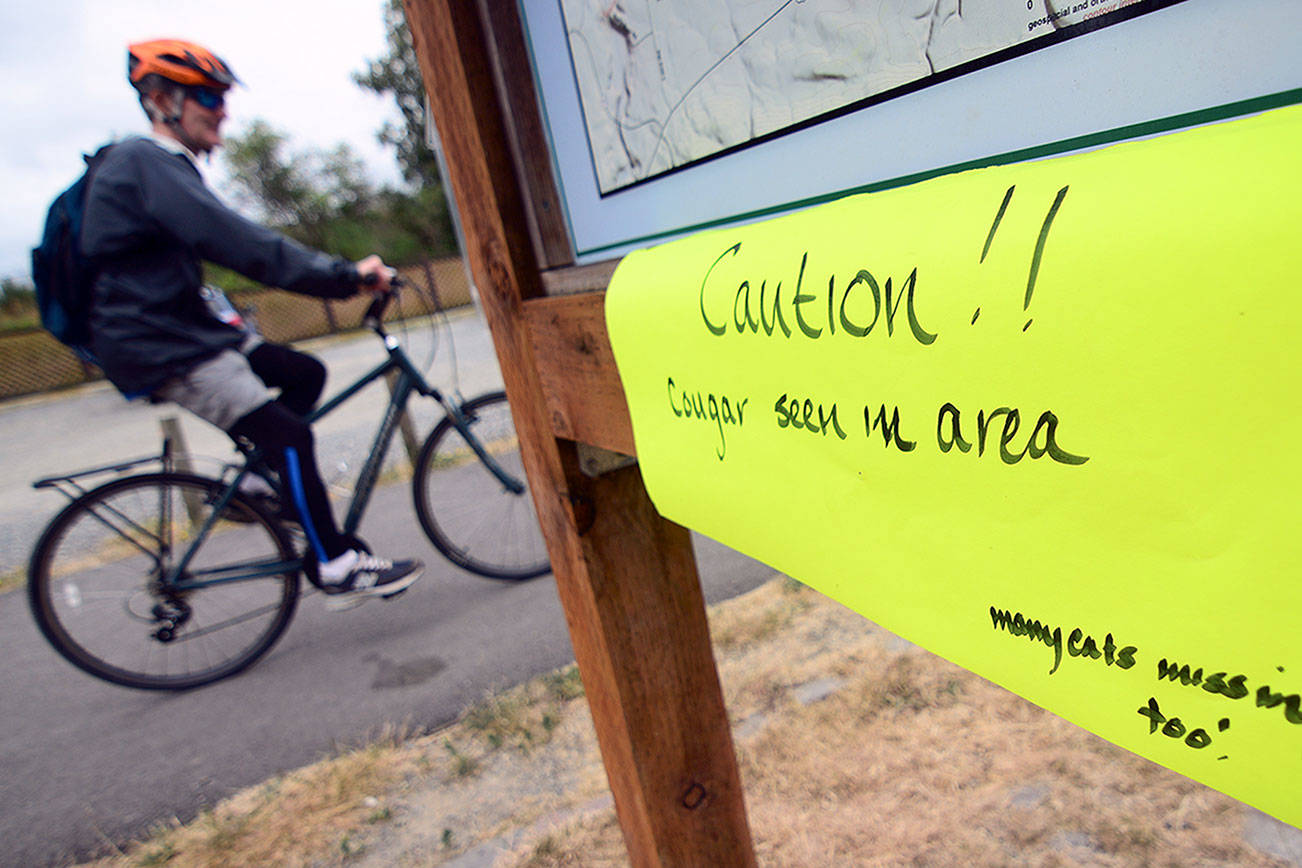 Cougar sightings cause concern in west Port Angeles neighborhood