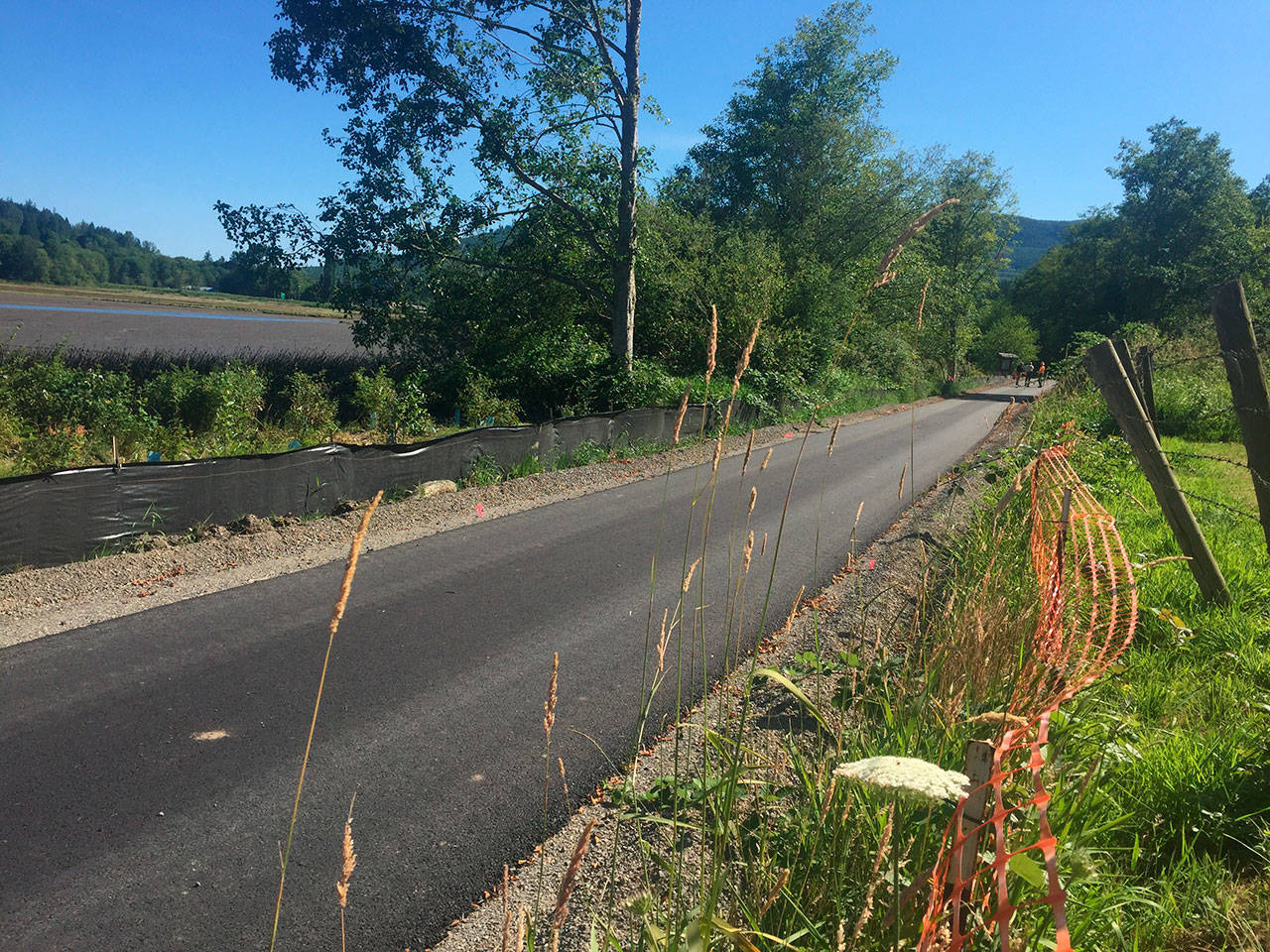 Phase one of the Discovery Bay section of the Olympic Discovery Trail is already paved. Crews will soon start on phase two, which runs along an old railroad grade. (Cydney McFarland/Peninsula Daily News)