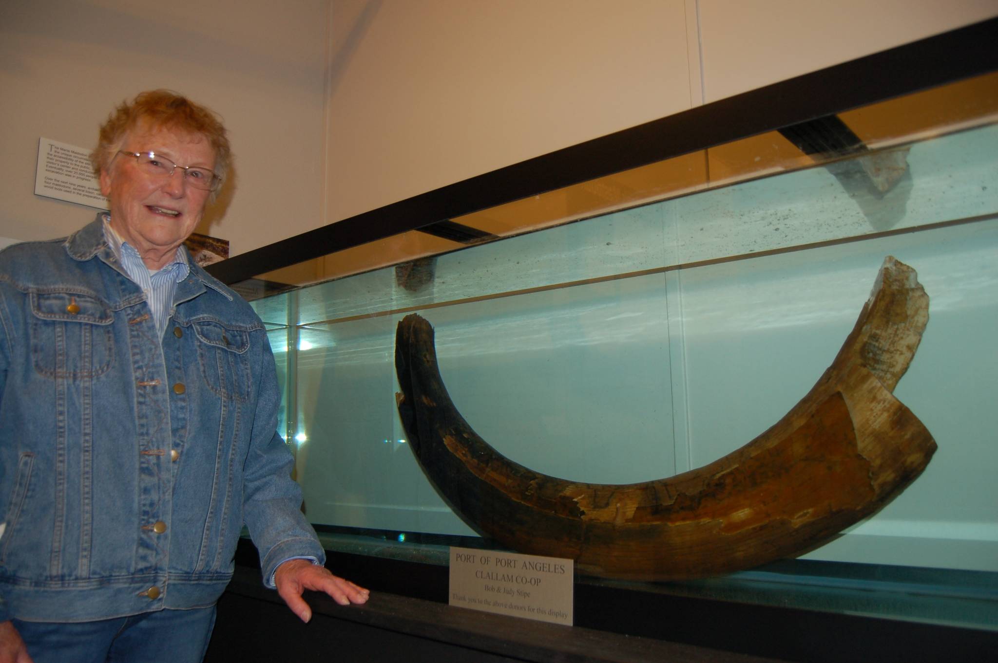 Erin Hawkins/Olympic Peninsula News Group Clare Manis stands next to one of the mastodon tusks her late husband, “Manny,” found in 1977 while digging a pond with his backhoe at their home in Happy Valley.