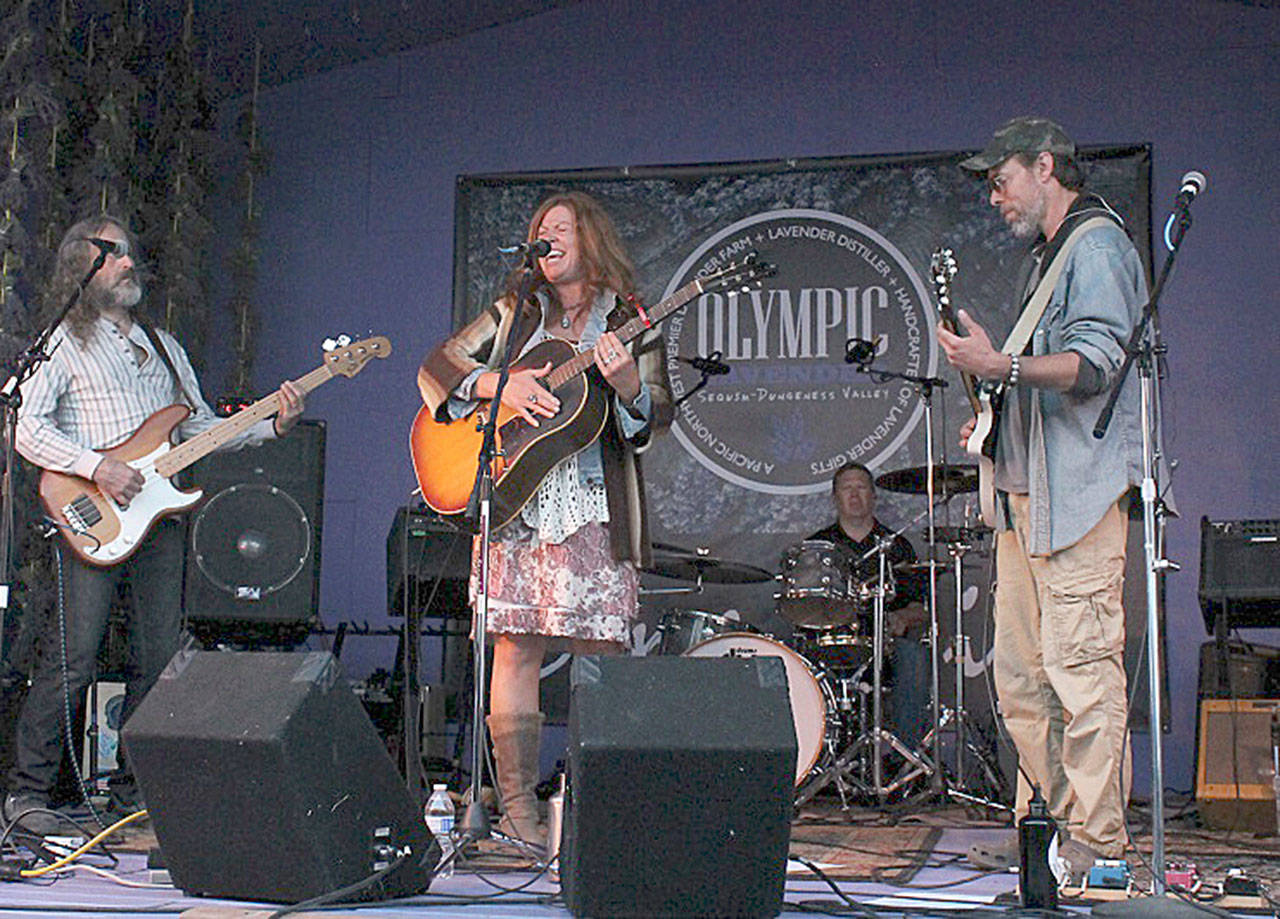Joy in Mudville plays at the 2016 Rock the Land Trust event.