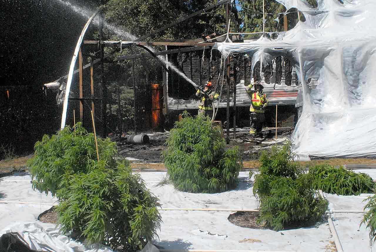 Firefighters for Clallam County District 3 cool down hot spots on a plastic-covered greenhouse after it and a nearby cargo trailer caught fire Friday at a marijuana farm at 639 John Jacobs Road east of Port Angeles. (Keith Thorpe/Peninsula Daily News)