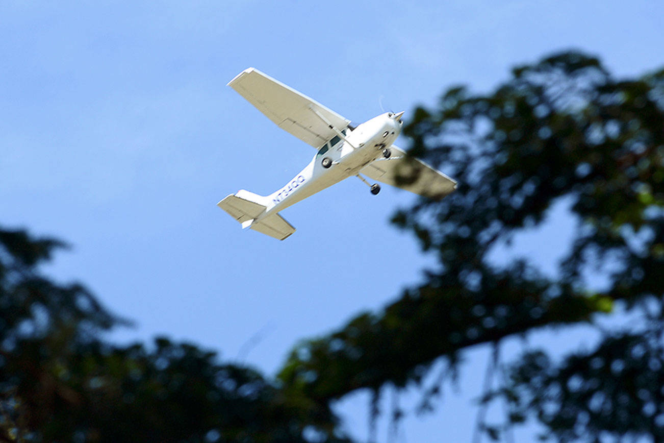 Port Angeles City Council agrees to remove Lincoln Park trees from flight path