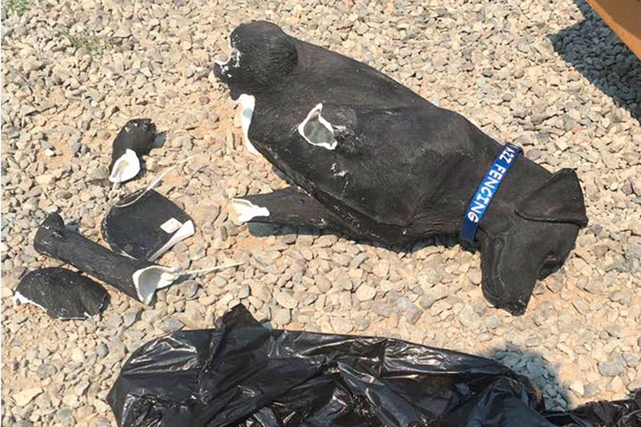 Stolli the dog statue stolen from Sequim memorial and found in pieces