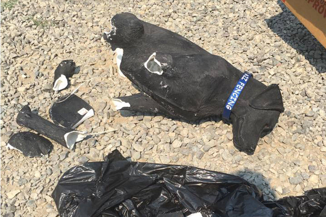 Clallam County Sheriff’s Office deputies continue to investigate the theft of an estimated $500 dog statue from Sequim that memorialized a popular dog, Stolli, who greeted locals as they traveled by the corner of Hendrickson and Priest roads. (Cassidy family)